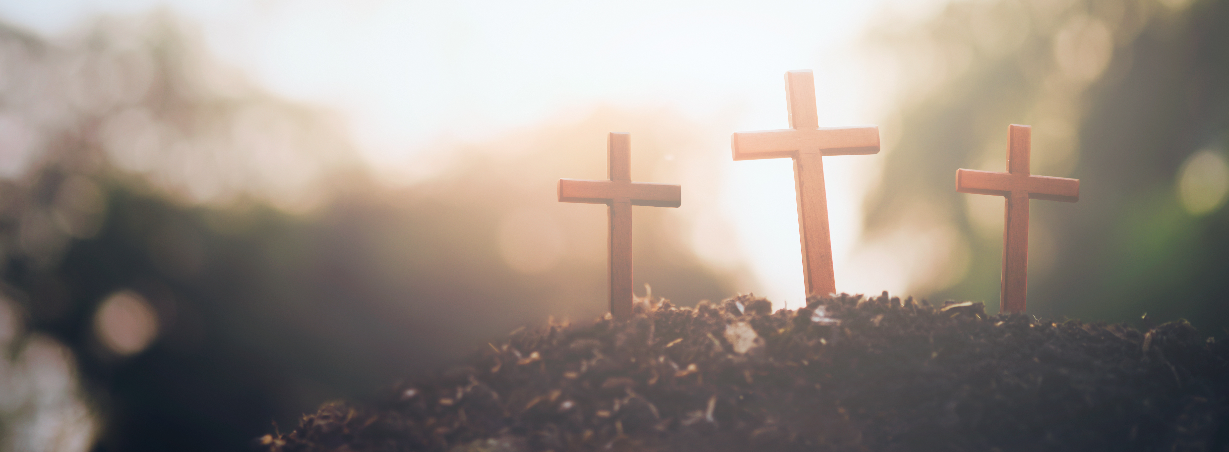 Sydney Turner Cover Image